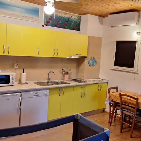 Alex Apartament *