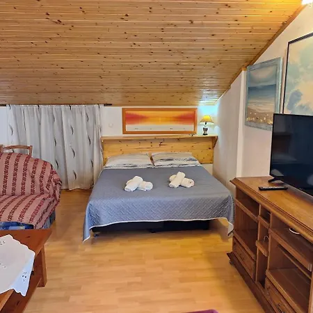 Alex Rovinj